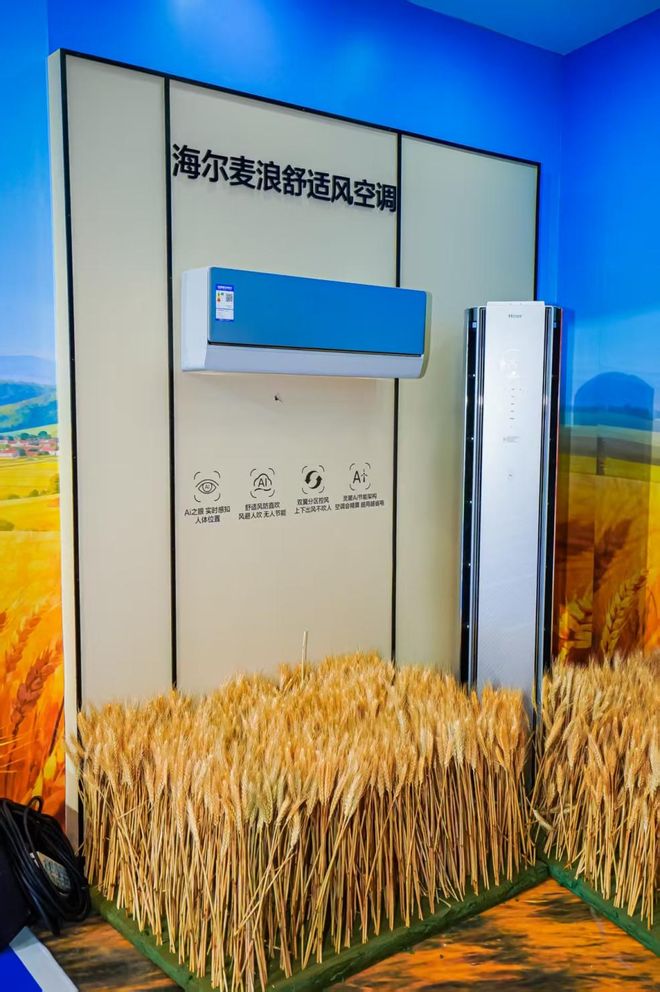 的底气：在无人区做“风”的发明家尊龙凯时